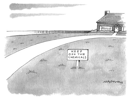 A sign on the front lawn of a house reads "Keep off the chemicals".