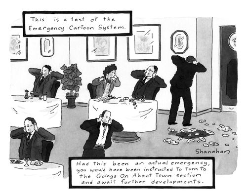 Emergency Cartoon System