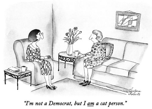 "I'm not a Democrat, but I am a cat person."