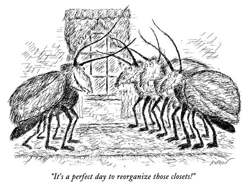 "It's a perfect day to reorganize those closets!"