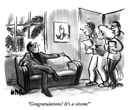 "Congratulations! It's a sitcom!"