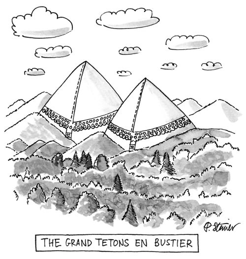 THE GRAND TETONS EN BUSTIER