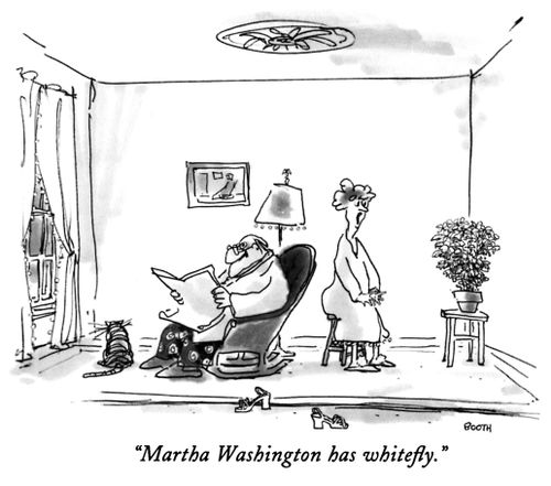 "Martha Washington has whitefly."