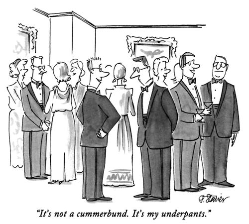 "It's not a cummerbund. It's my underpants."