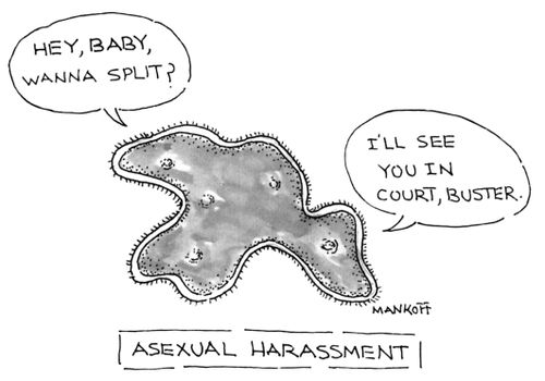 Asexual harassment.