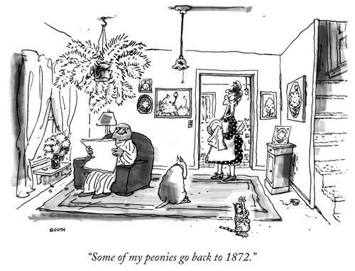 "Some of my peonies go back to 1872."