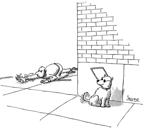 Escaping Guide Dog