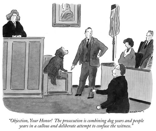 "Objection, Your Honor! The prosecution is combining dog years and people years in a callous and deliberate attempt to confuse the witness."