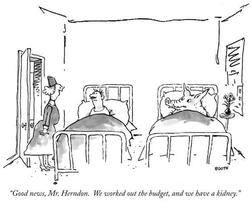 "Good news, Mr. Herndon. We worked out the budget, and we have a kidney."