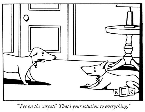 "'Pee on the carpet!' That's your solution to everything."