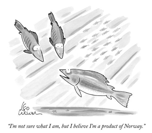"I'm not sure what I am, but I believe I'm a product of Norway."
