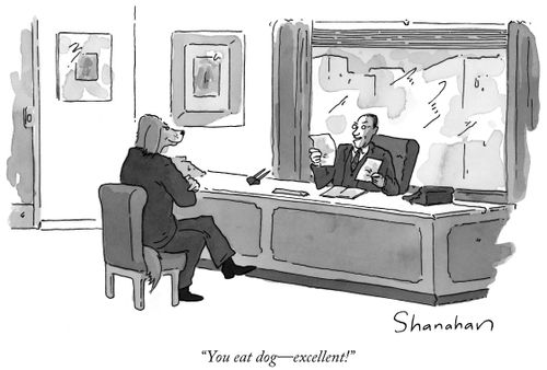 "You eat dog - excellent!"