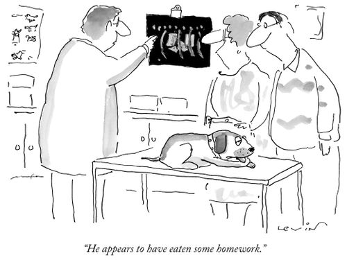 "He appears to have eaten some homework."