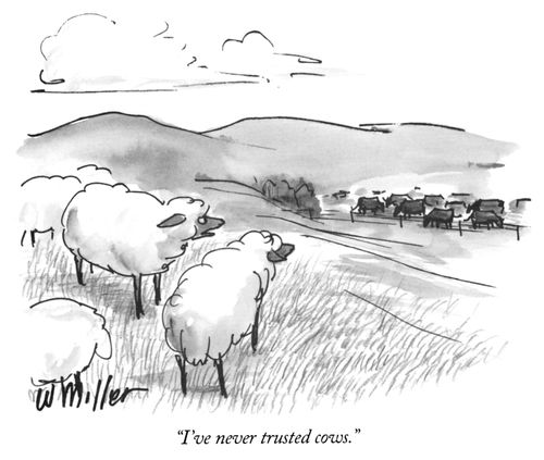 "I've never trusted cows."