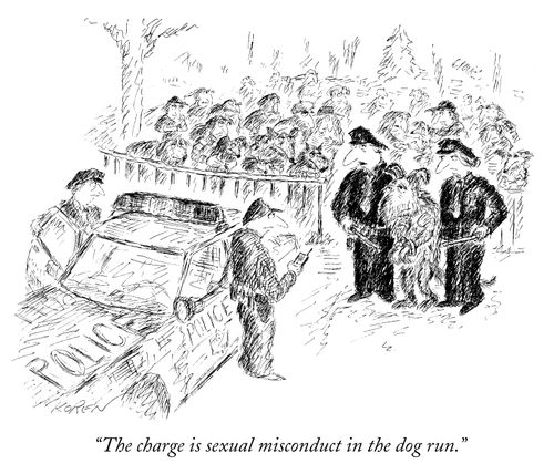 "The charge is sexual misconduct in the dog run."
