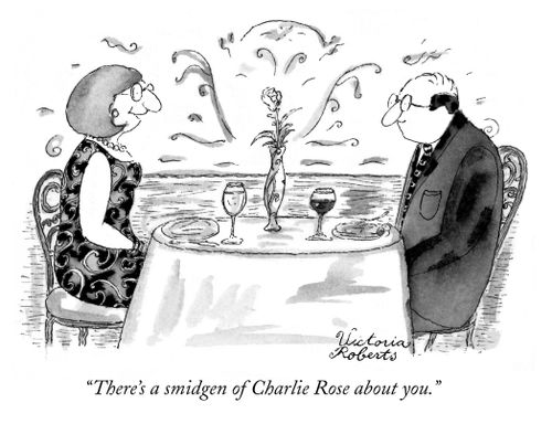 "There's a smidgen of Charlie Rose about you."