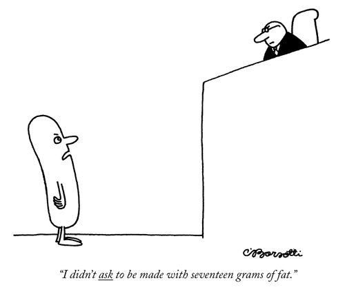 "I didn't ask to be made with seventeen grams of fat."