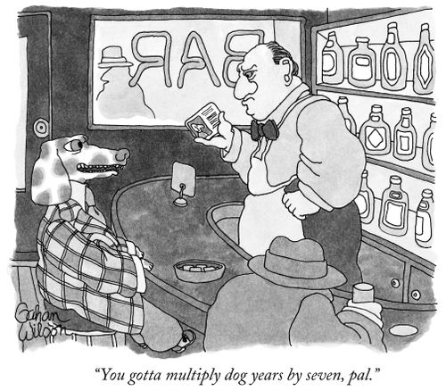 "You gotta multiply dog years by seven, pal."