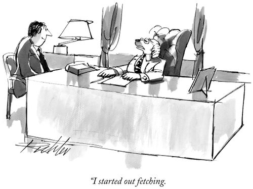 "I started out fetching."