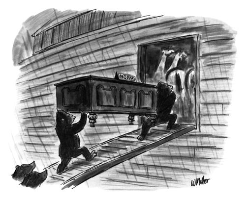 Gorillas Load Noah's Mahogany Desk