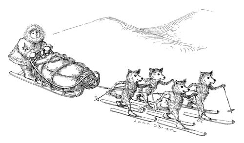 Dogs on skis pulling a sled