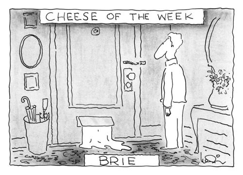 Cheese of the Week: Brie