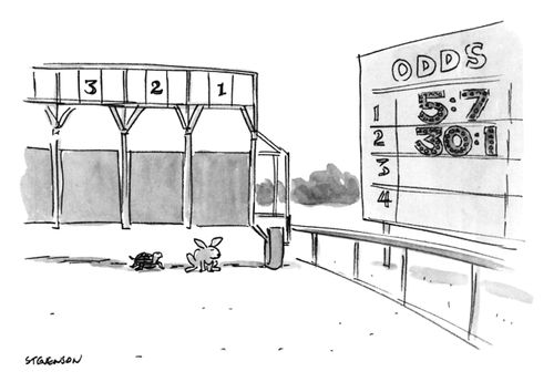 Hare and the tortoise race odds.