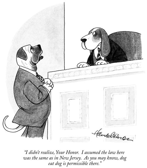 "I didn't realize, Your Honor. I assumed the law here was the same as in New Jersey. As you may know, dog eat dog is permissible there."