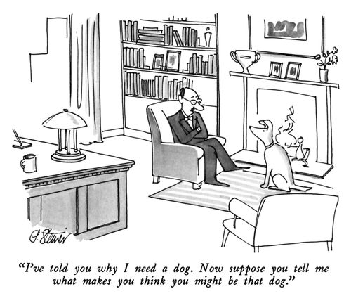 "I've told you why I need a dog. Now suppose you tell me what makes you think you might be that dog."