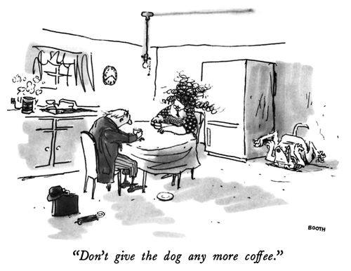 "Don't give the dog any more coffee."