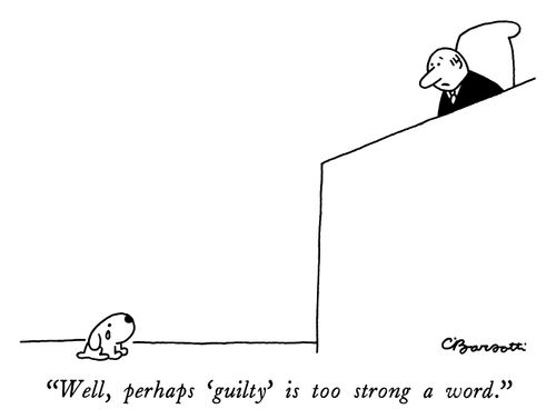 "Well, perhaps 'guilty' is too strong a word."