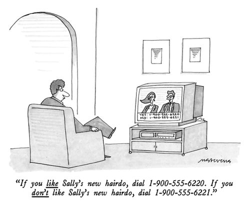 "If you like Sally's new hairdo, dial 1-900-555-6220. If you don't like Sally's new hairdo, dial 1-900-555-6221."