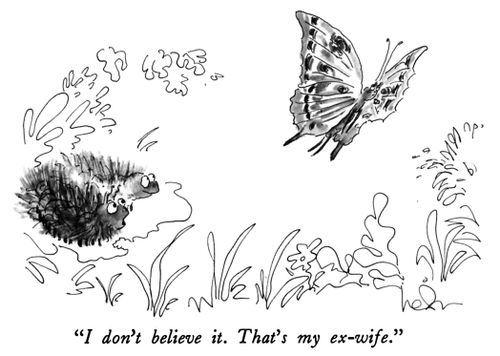 "I don't believe it. That's my ex-wife."