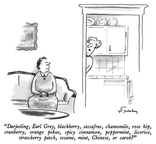 "Darjeeling, Earl Grey, blackberry, sassafras, chamomile, rose hip, cranberry, orange pekoe, spicy cinnamon, peppermint, licorice, strawberry patch, sesame, mint, Chinese, or carob?"