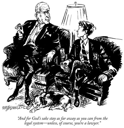 "And for God's sake stay as far away as you can from the legal system- unless you're a lawyer."