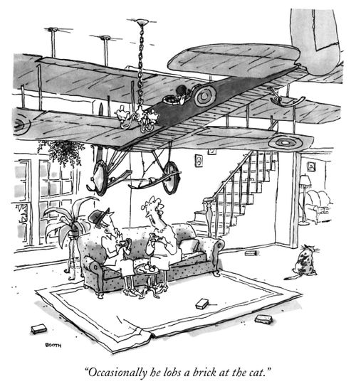 "Occasionally he lobs a brick at the cat."