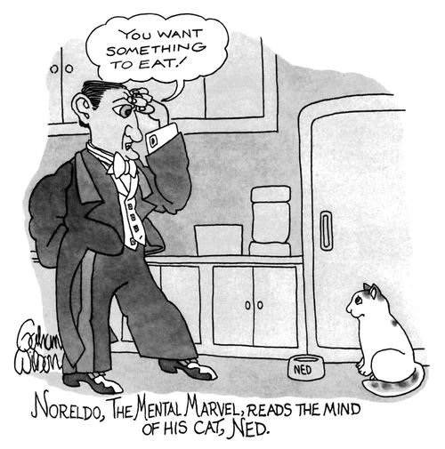 Noreldo, The Mental Marvel, Reads The Mind Of His Cat, Ned: