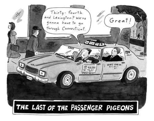 The Last of the Passenger Pigeons