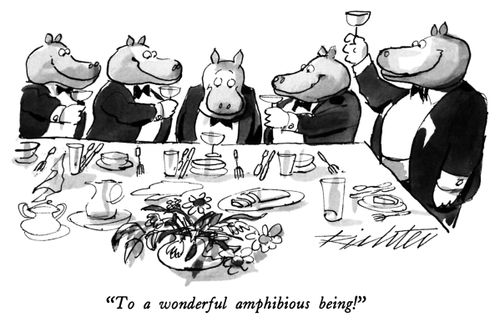 "To a wonderful amphibious being!"