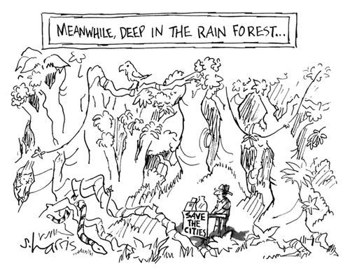 Meanwhile, Deep in the Rain Forest...Save the Cities