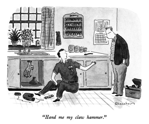 "Hand me my claw hammer."