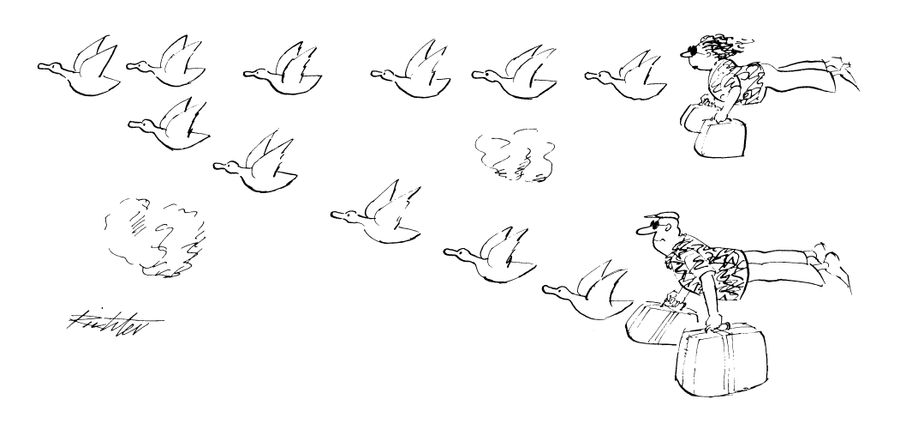 Migrating Birds