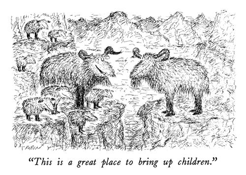 "This is a great place to bring up children."
