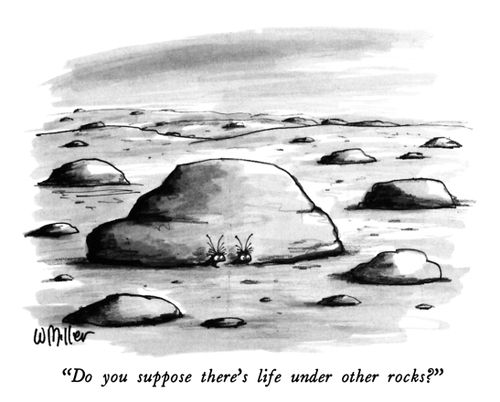 "Do you suppose there's life under other rocks?"
