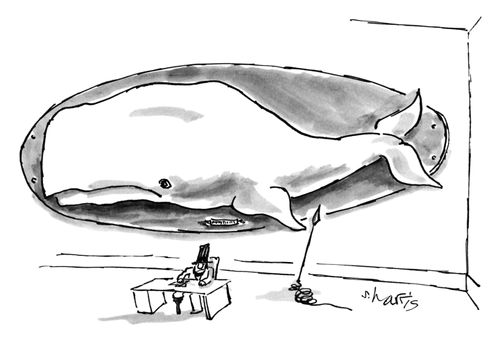The White Whale Mounted On The Wall