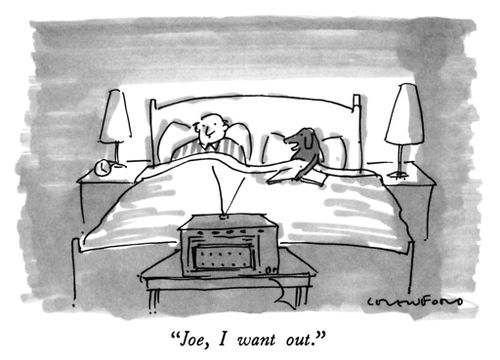"Joe, I want out."