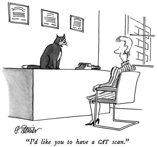 "I'd like you to have a CAT scan."