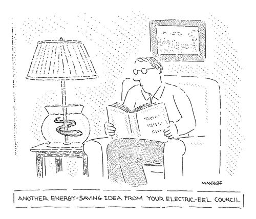 Another Energy-Saving Idea From Your Electric-Eel Council: