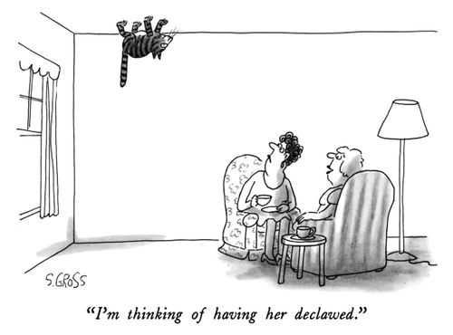 "I'm thinking of having her declawed."