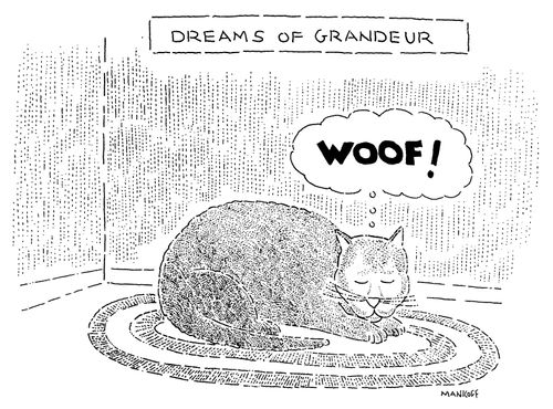 Dreams of Grandeur